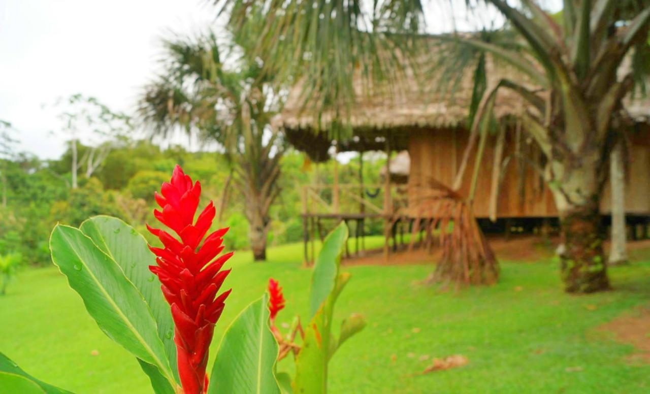 Pacaya Samiria Amazon Lodge Nauta Exterior photo